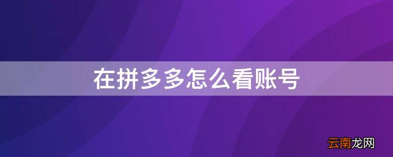在拼多多怎么看账号 拼多多怎么看账号异常