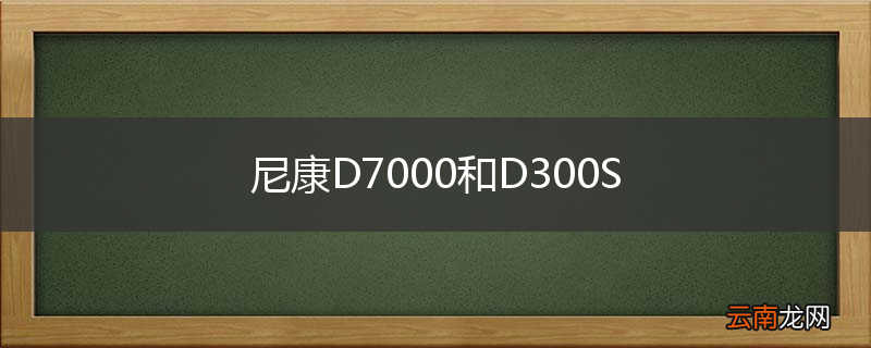 尼康D7000和D300S