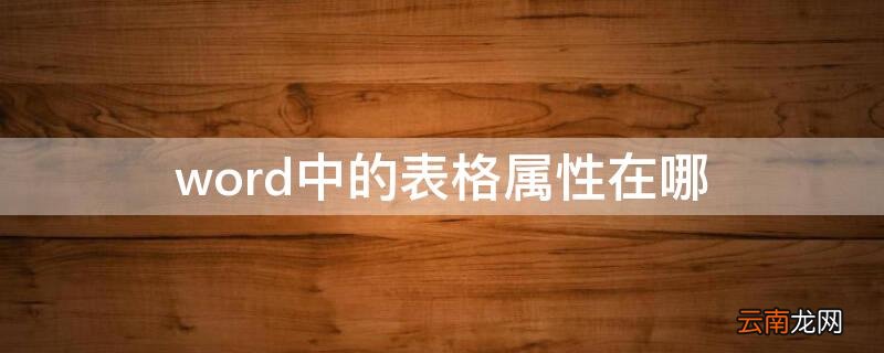 word中的表格属性在哪 word2019表格属性在哪里