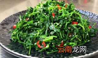 荠菜隔夜还能吃吗 荠菜隔夜不能吃