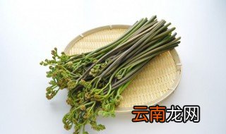 蕨菜炒菜的做法 家常炒蕨菜的做法