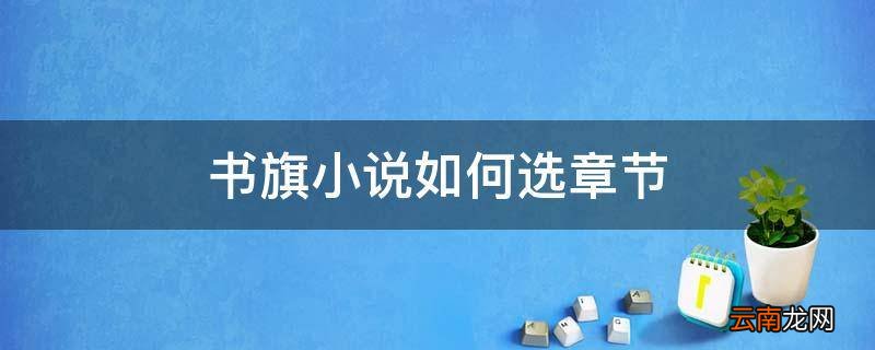 书旗小说如何选章节