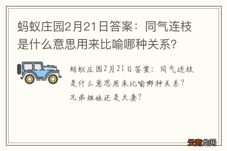 蚂蚁庄园2月21日答案：同气连枝是什么意思用来比喻哪种关系？兄弟姐妹还是夫妻？