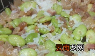 蚕豆焖饭的做法大全集窍门 蚕豆焖饭的做法