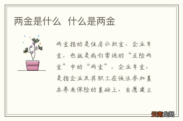 两金是什么什么是两金