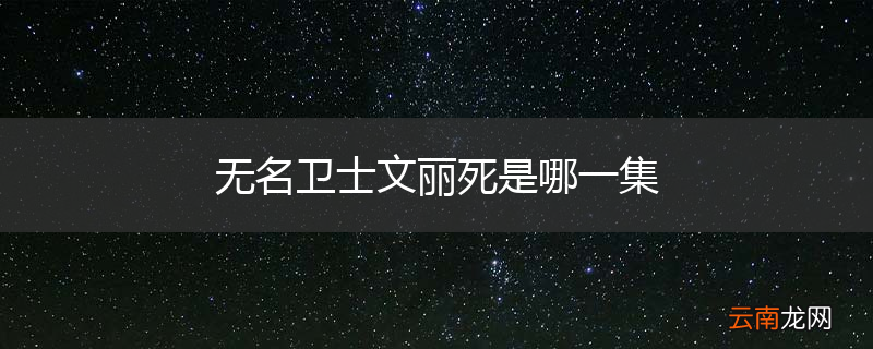 无名卫士文丽死是哪一集