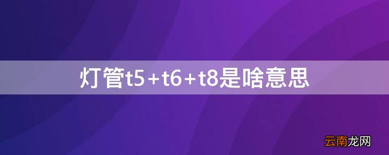 灯管t5 t6 t8是啥意思