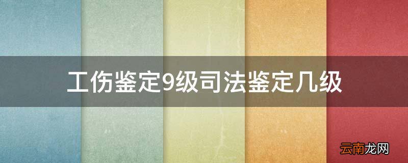 工伤鉴定9级司法鉴定几级