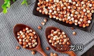 芡实要煮多久才熟 芡实要煮多久时间才熟
