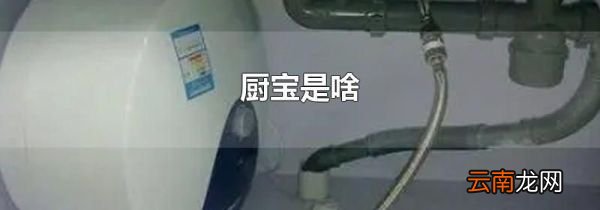厨宝是啥
