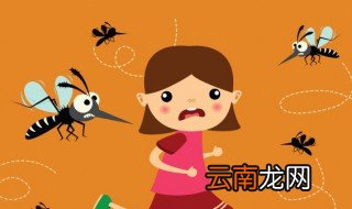 蚊子蟋蟀蝗虫耳朵长在哪里 蝗虫的耳朵长在它的什么地方