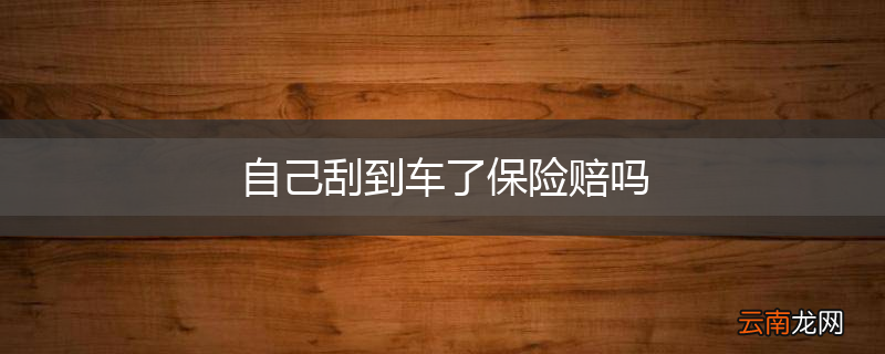 自己刮到车了保险赔吗