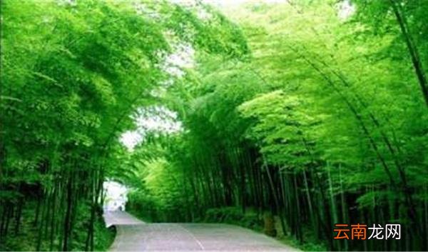 王府竹海在什么地方