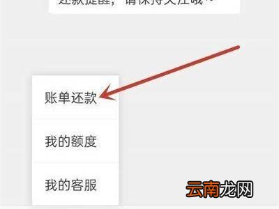 京东白条如何用微信还款