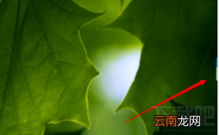 有道词典中迷你窗口怎么设置？有道词典中迷你窗口设置方法介绍