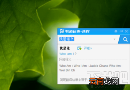 有道词典中迷你窗口怎么设置？有道词典中迷你窗口设置方法介绍