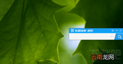 有道词典中迷你窗口怎么设置？有道词典中迷你窗口设置方法介绍