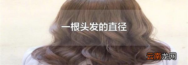 一根头发的直径