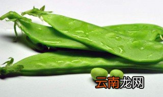 麦豆煮多久就熟了 麦豆煮多久才熟
