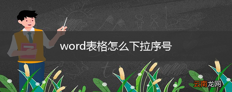 word表格怎么下拉序号