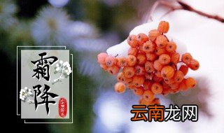 秋霜是怎么形成的 秋霜是如何形成的