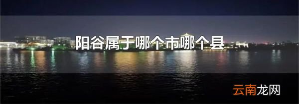 阳谷属于哪个市哪个县