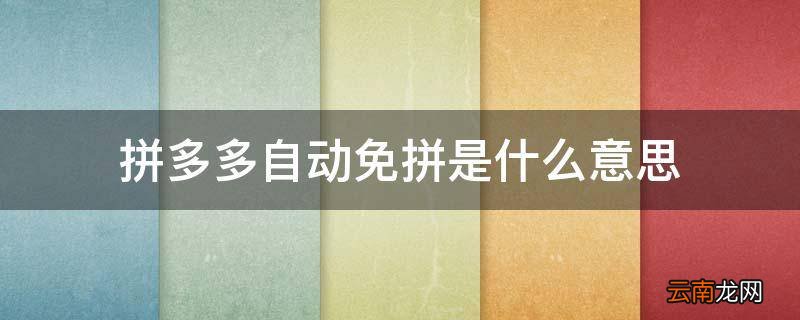 拼多多自动免拼是什么意思