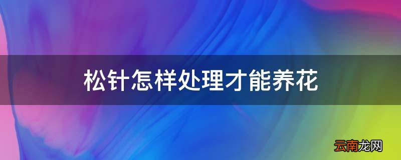 松针怎样处理才能养花
