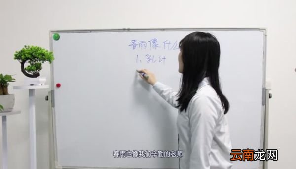 春雨像什么 春天的雨像什么