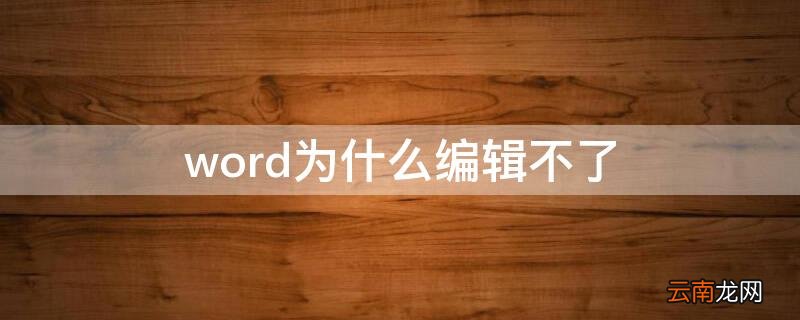 word为什么编辑不了 文件能打开但不能编辑怎么办