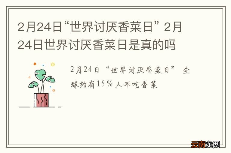 2月24日“世界讨厌香菜日” 2月24日世界讨厌香菜日是真的吗