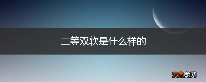 二等双软是什么样的