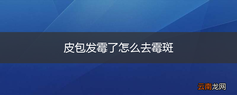 皮包发霉了怎么去霉斑
