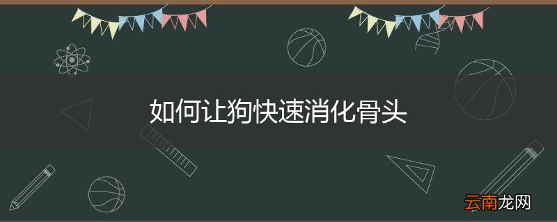 如何让狗快速消化骨头