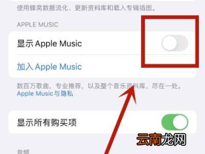 苹果锁屏显示音乐播放器怎么关闭