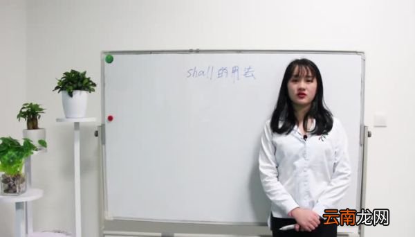 shall的用法 shall的用法是什么