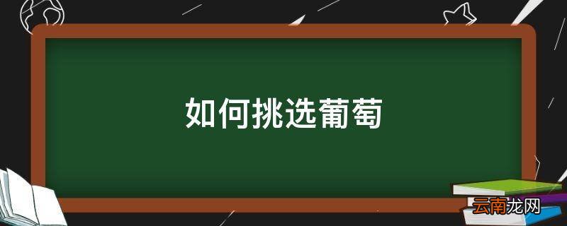 如何挑选葡萄