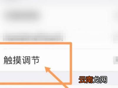 苹果13充电的时候屏幕失灵