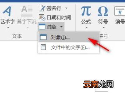 word怎么插pdf图片格式