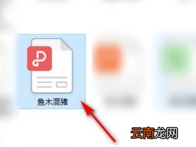 word怎么插pdf图片格式