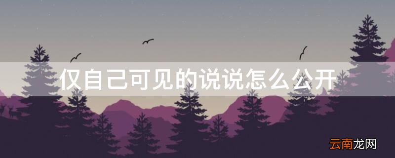 仅自己可见的说说怎么公开 仅自己可见的说说别人能看到吗