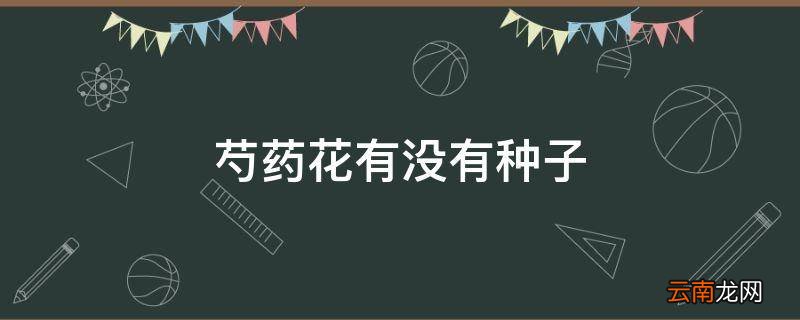 芍药花有没有种子