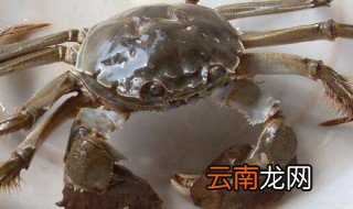河蟹冰箱冷藏能放几天 河蟹在冰箱冷藏可以放几天