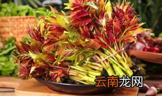 香椿可以生吃吗 香椿能不能生吃