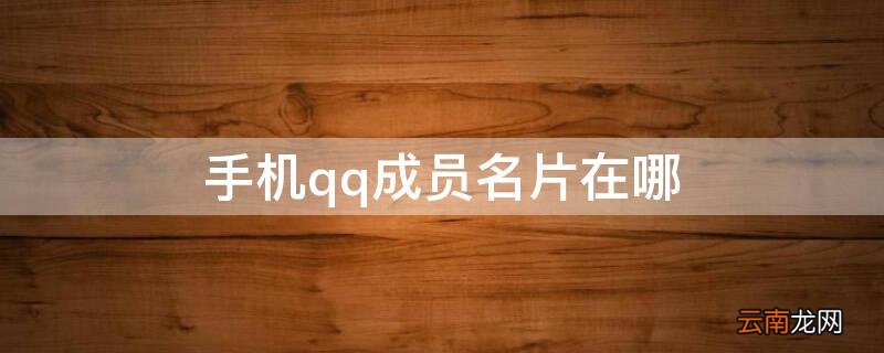 手机qq成员名片在哪里 手机qq成员名片在哪