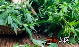 端午用什么煮鸡蛋，端午节鸡蛋用什么煮