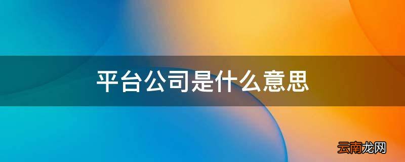 平台公司是什么意思