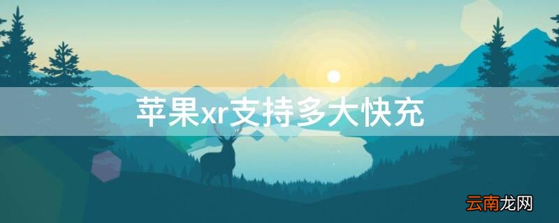 iphonexr支持10w快充么 iPhonexr支持多大快充