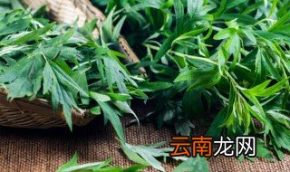 端午什么时候挂艾草 端午挂艾草什么时候挂