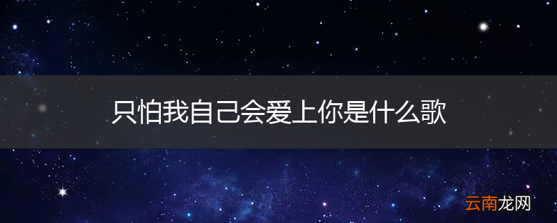 只怕我自己会爱上你是什么歌